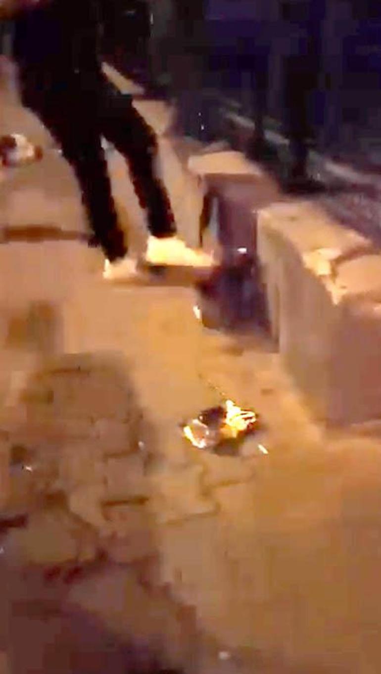 Köpek gezdirirken sokak kedisini tekmeleyen şüpheli tutuklandı