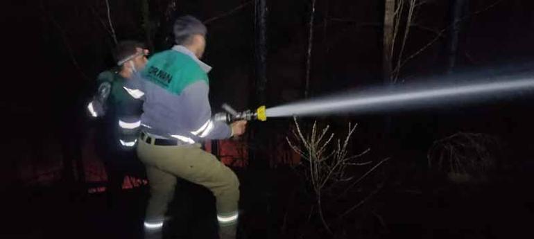 Hatayda çıkan orman yangını kontrol altına alındı