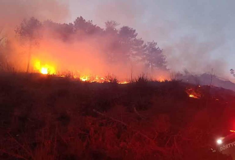 Hatayda çıkan orman yangını kontrol altına alındı
