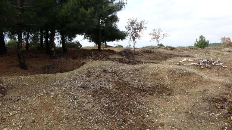 Çanakkale Savaşlarında çok sayıda tıp fakültesi öğrencisi görev yapmış