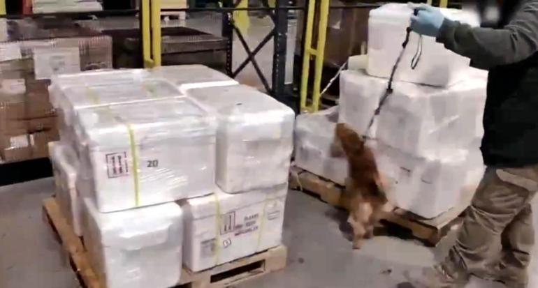 İstanbul Havalimanında 455 kilo kokain ele geçirildi