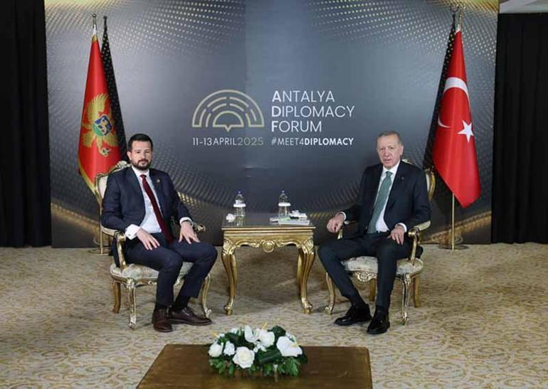 Cumhurbaşkanı Erdoğan, Aliyev, Milatoviç ve Osmani-Sadriu ile görüştü