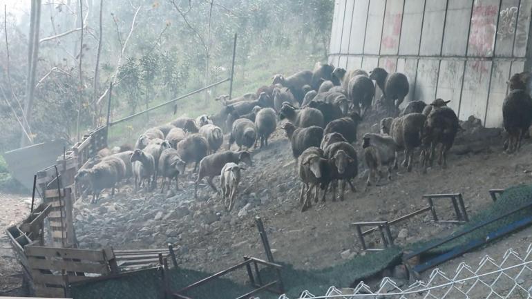 Başakşehirde kimya deposunda çıkan yangın söndürüldü