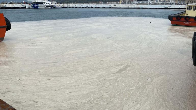 Prof. Dr. Büyükateş: Yaz aylarında müsilajın sistemde olmasını beklemiyoruz