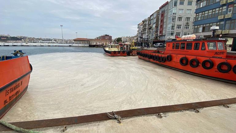 Prof. Dr. Büyükateş: Yaz aylarında müsilajın sistemde olmasını beklemiyoruz