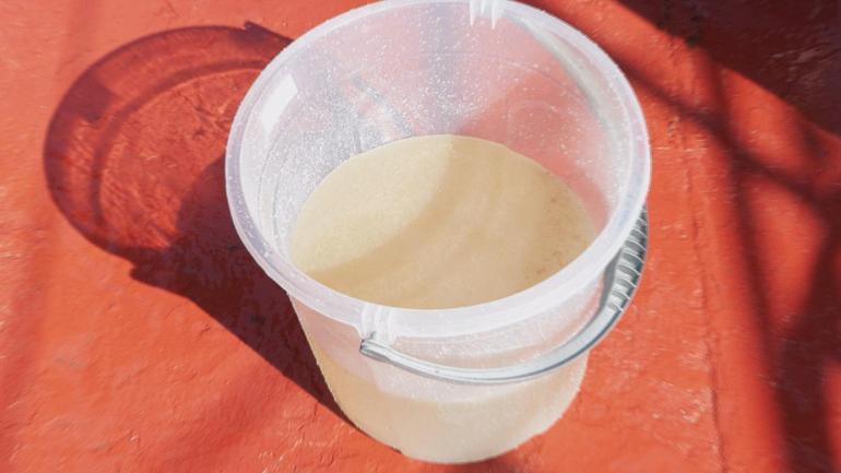 Müsilaj Bilim ve Teknik Kurulu, Marmara açıklarında incelemelerde bulundu