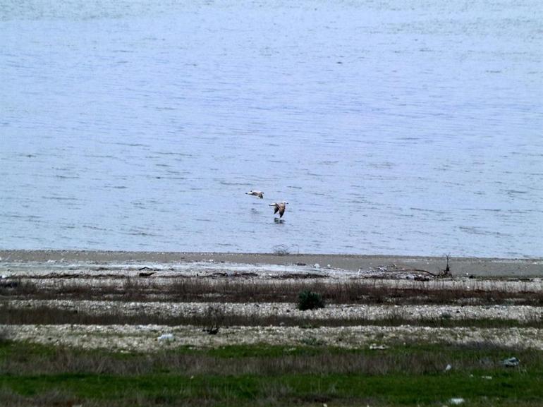 Profesörden Burdur Gölü yeşil kuşak projesiyle kurtulur önerisi