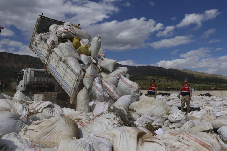 Diyarbakırda son 2 yılda ele geçirilen 20 ton esrar imha edildi