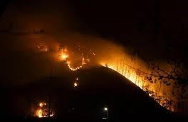 Güney Korede orman yangınlarında 104 bin hektar alan zarar gördü