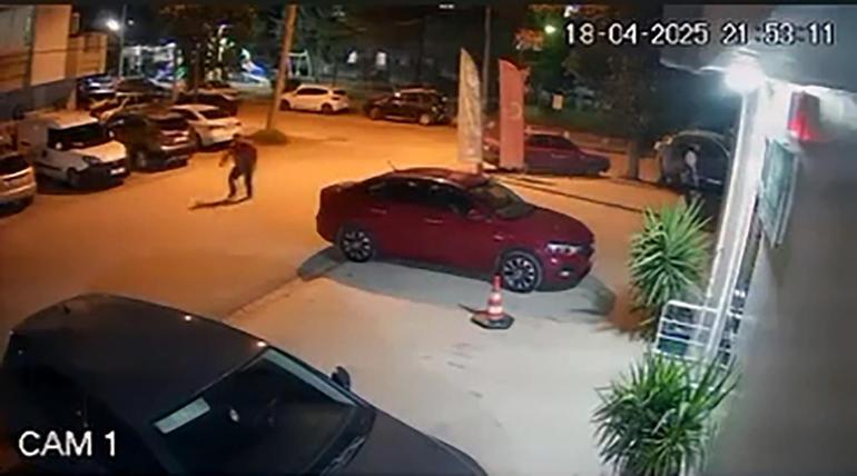 Otomobilin üzerinde zıplayıp, park halindeki araçlara zarar verdi