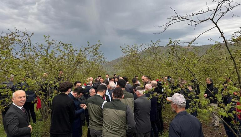 Bakan Yumaklı: Zirai don nedeniyle zarar gören ağaçlarda gelişigüzel budama yapılmamalı