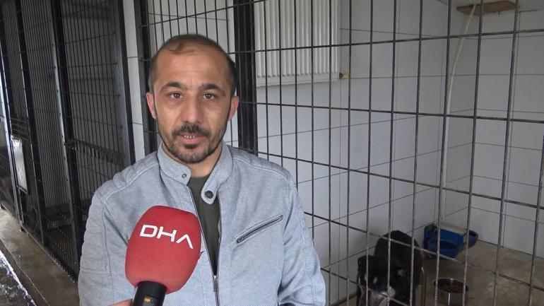 Avcılarda zehirlendiği iddia edilen 2 köpek kurtarıldı