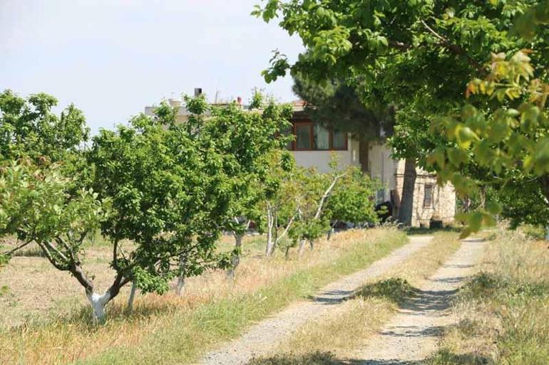 Eski TBMM Başkanvekili Fehmi Işıkların eşi öldürüldü; oğlu tutuklandı