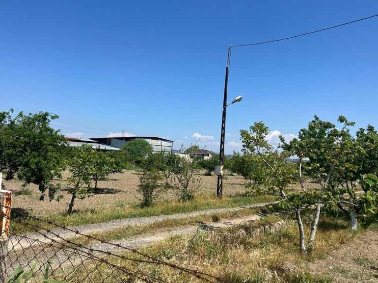 Eski TBMM Başkanvekili Fehmi Işıkların eşi öldürüldü; oğlu tutuklandı