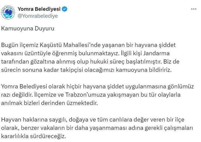 Kamyonette köpeğe halatla şiddet uyguladı, gözaltına alındı