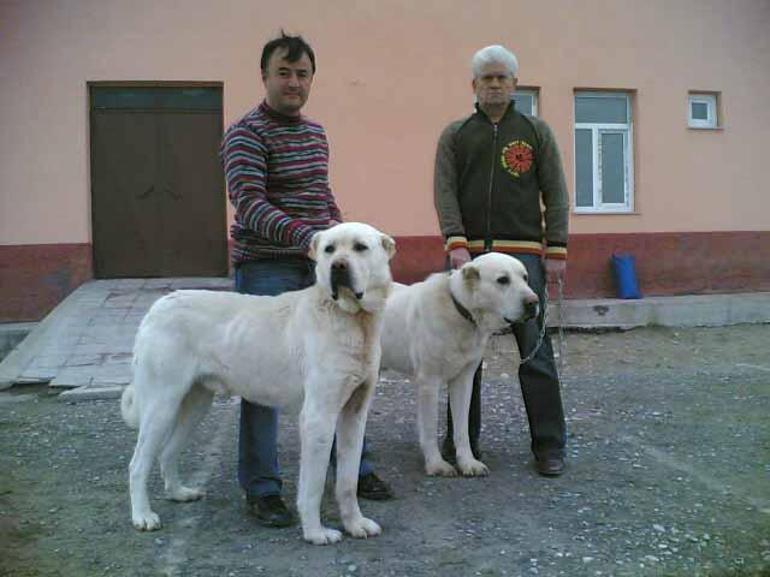 Engin Fırat, hayatını kaybeden Lorant’ı anlattı