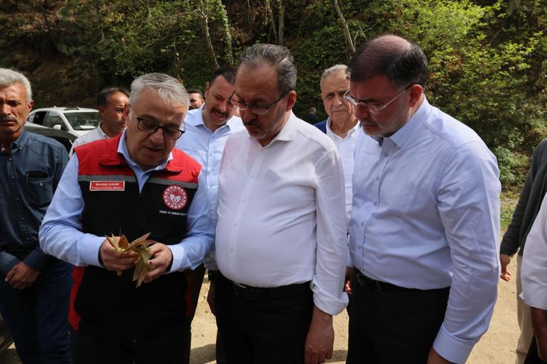 Kasapoğlu’ndan zirai don mesajı: Çiftçilerimizin yanındayız