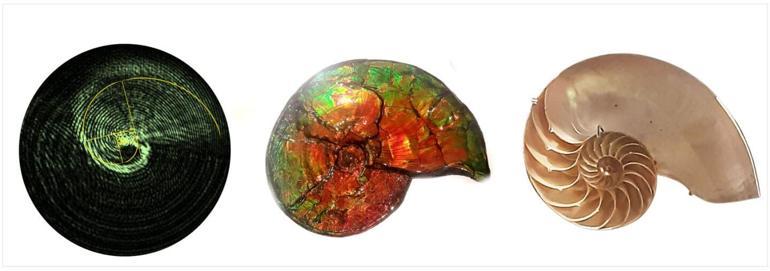 Bilim insanları, ışığın optik rotatum adlı yeni yapısını keşfetti