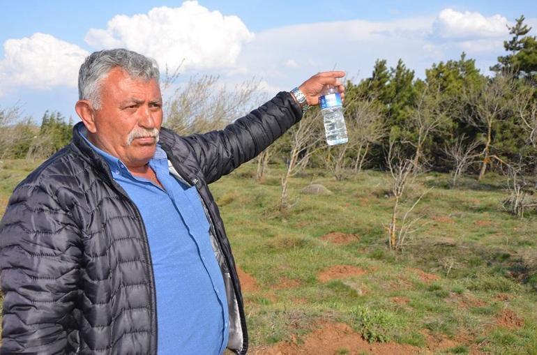 Deniz, ormanda yakılarak öldürüldü