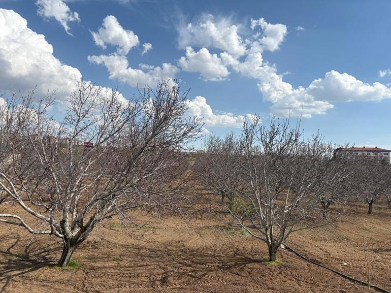 TZOB Genel Başkanı Bayraktar: İklim değişikliği tarım sektöründe artık bir felaket haline geldi