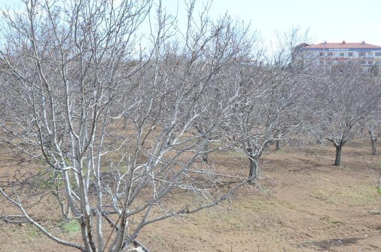 TZOB Genel Başkanı Bayraktar: İklim değişikliği tarım sektöründe artık bir felaket haline geldi