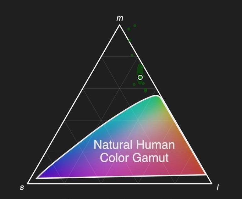 Bilim insanları, doğal yollarla algılanamayan yeni bir renk keşfetti