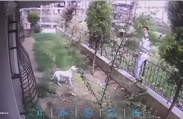 İstanbulda deprem anları kamerada; kadınlar kuaförde boya yaptırırken yakalandı