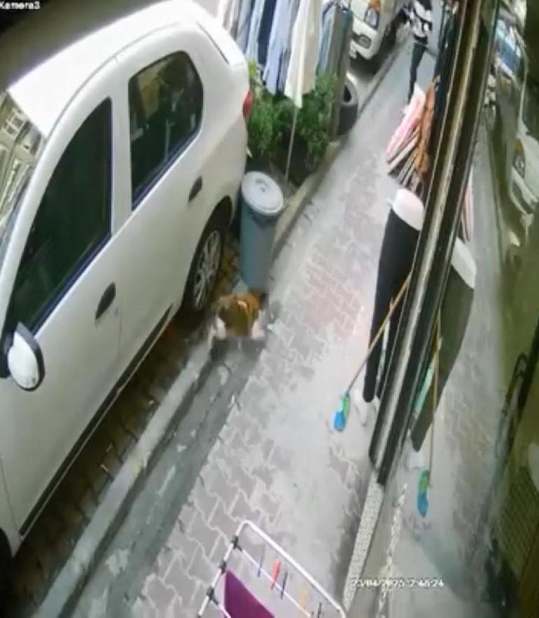 Deprem sırasında ağlayan çocuğuna sarıldı; kaçmak yerine yürüyerek dışarı çıktı