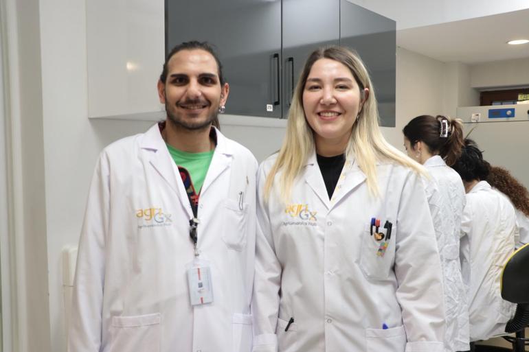 Yaralı ebabil ve kırlangıçlar, tüy implantasyonu ile doğaya döndürülüyor