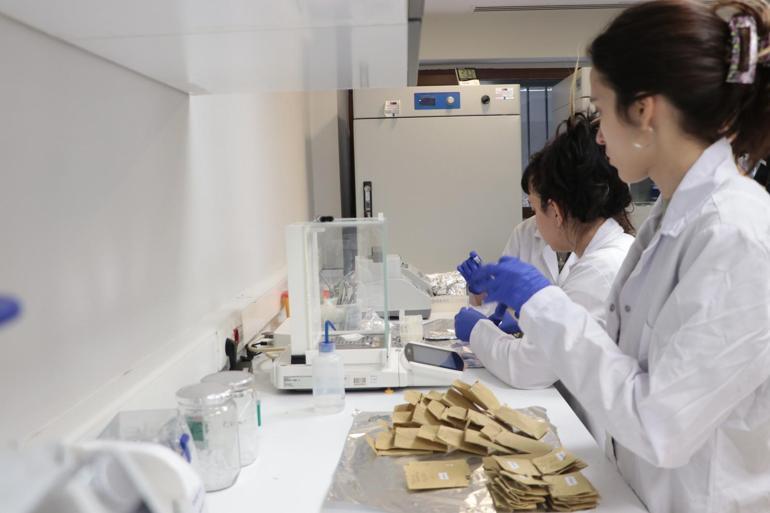 Yaralı ebabil ve kırlangıçlar, tüy implantasyonu ile doğaya döndürülüyor