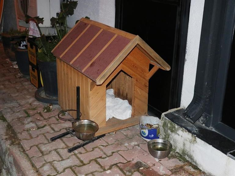 İşletmenin beslediği köpeğe 3 el ateş edip, öldürdü