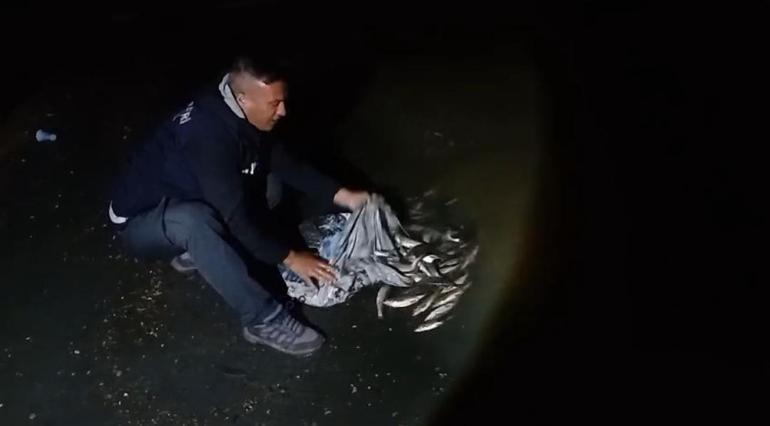 Vanda kaçak avlanan 60 kilo canlı inci kefali ele geçirildi