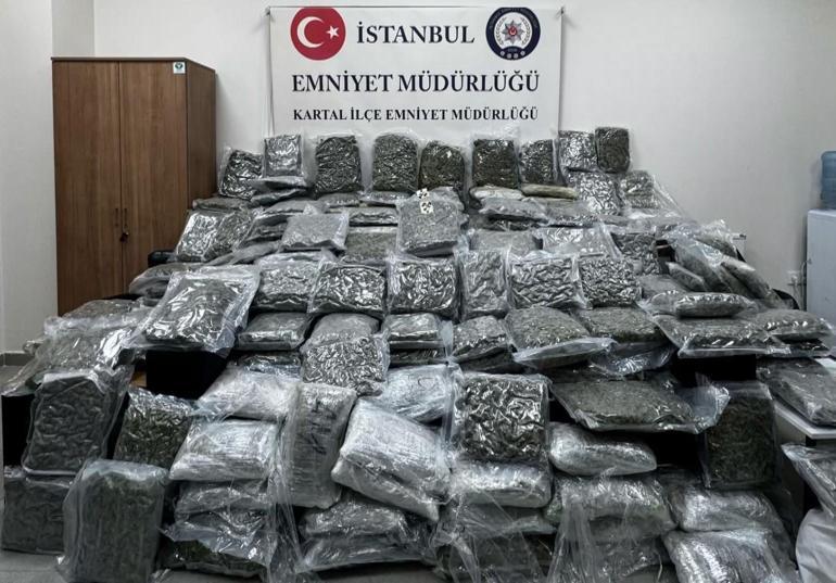 Petshopa uyuşturucu operasyonu: 4 gözaltı
