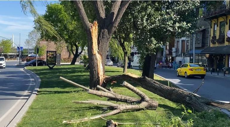 Fatih ve Bakırköy’de fırtınanın etkisiyle ağaçlar otomobillerin üzerine devrildi