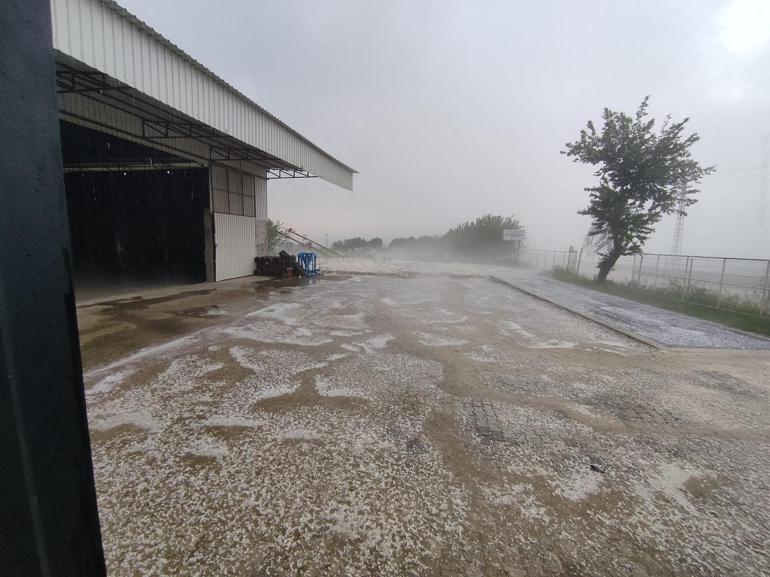 Sağanak ve dolu yağışı, ekili alanlara zarar verdi