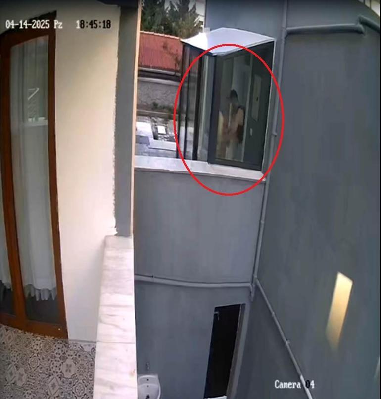Doktorun sahiplenip öldürdüğü iddia edilen köpek sayısı 26ya ulaştı