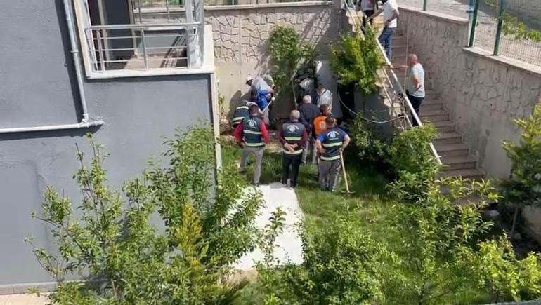 Doktorun sahiplenip öldürdüğü iddia edilen köpek sayısı 26ya ulaştı