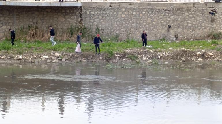 Amasyada, Yeşilırmakta balık ölümleri meydana geldi