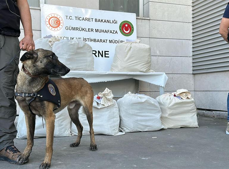 Kapıkule’de otobüsteki 87 kilo uyuşturucuyu Jeff buldu; 3 tutuklama