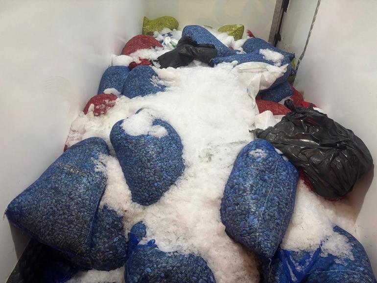 Kaçak midye avcılığına 126 bin lira ceza