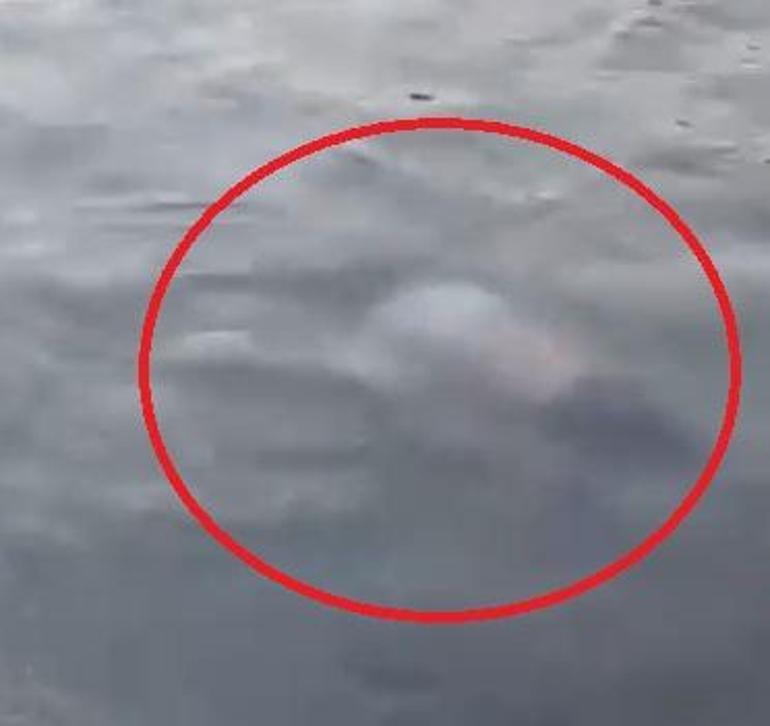 Adanada sulama kanalında hareketsiz duran kişiyi çevredekiler kurtardı; durumu ağır