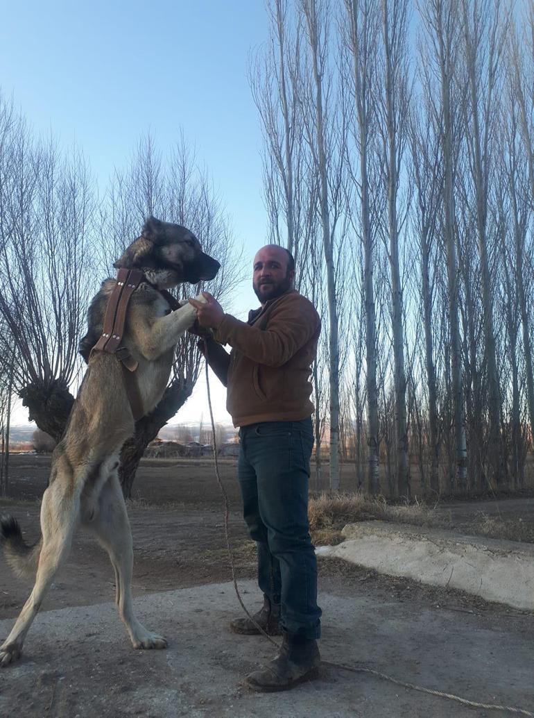 Afyonkarahisarda komşuların arazi kavgası kanlı bitti: 1 ölü