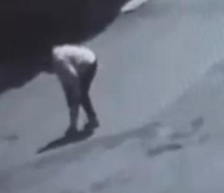 Tekirdağda sokak köpeğinin ısırdığı kadın yaralandı; o anlar kamerada