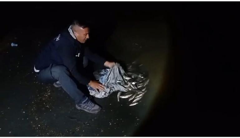 Vanda kaçak avlanan 2,5 ton inci kefali ele geçirildi