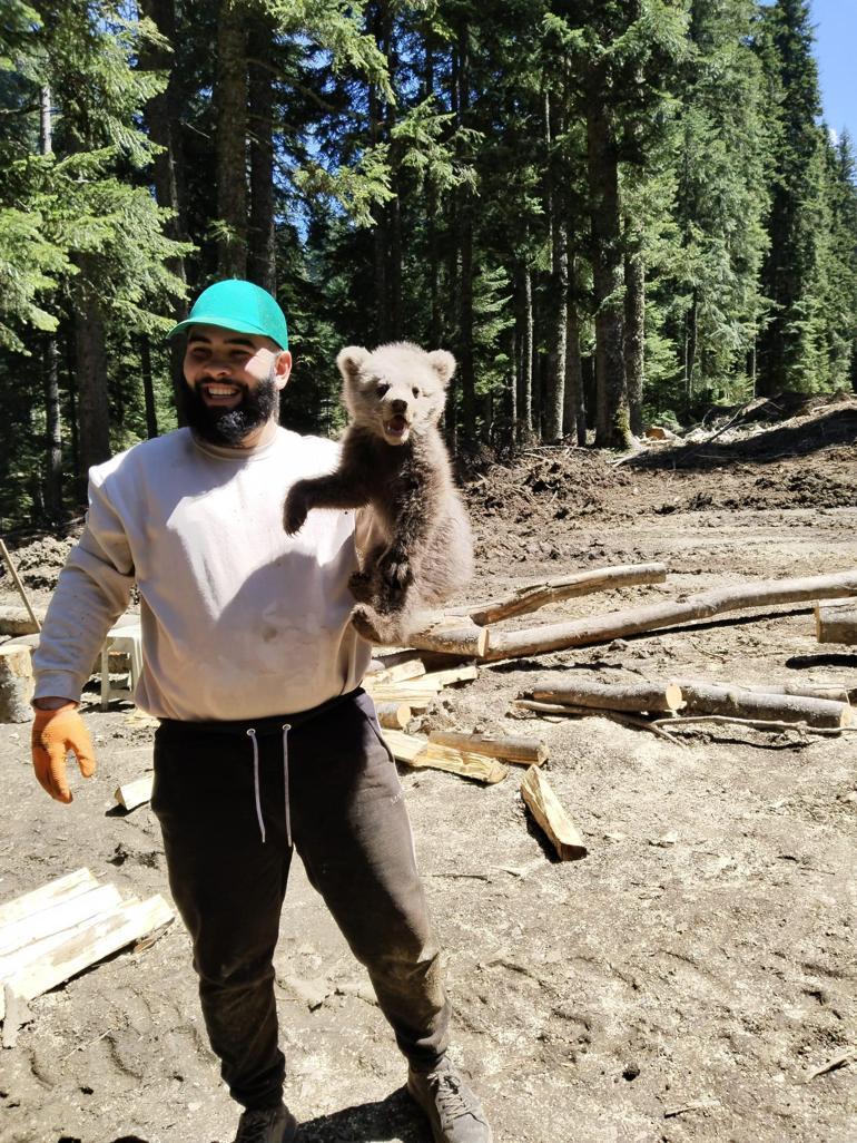 İş makinesinin içerisine giren yavru bozayı kamerada