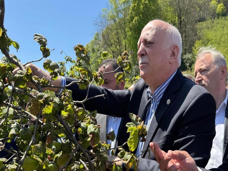 TZOB Genel Başkanı Bayraktar: Zirai don hasarı yüzde 100