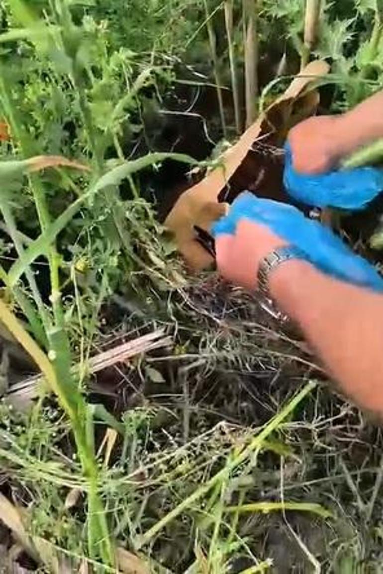 İzmirde dron ile uyuşturucu sevkiyatı