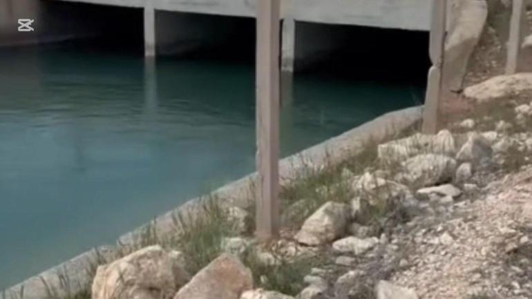 Düşen kuzenini kurtarmaya çalışırken birlikte boğulmuşlar