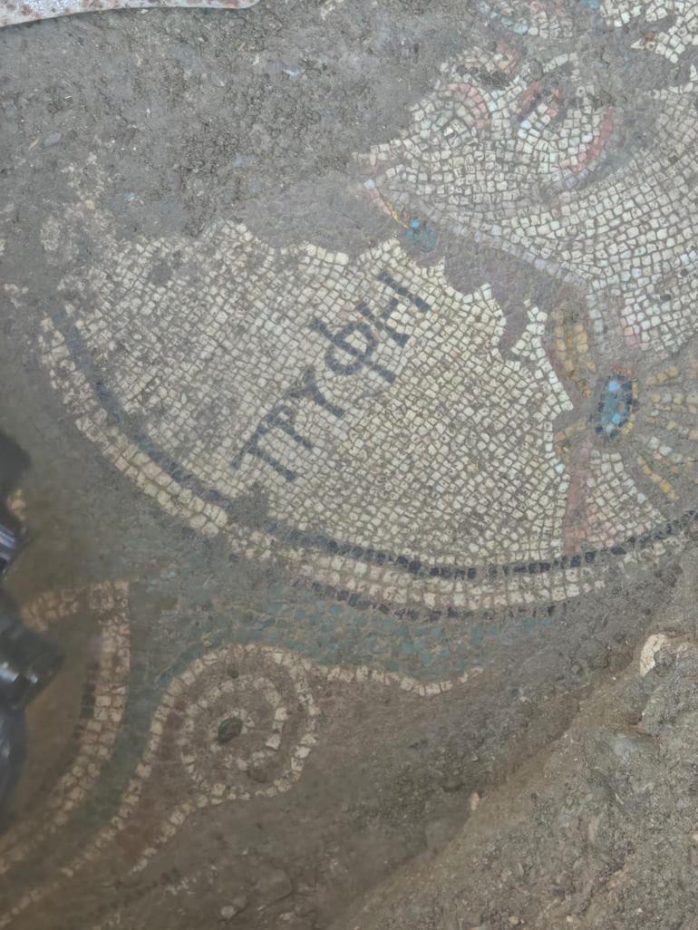 Tokatta izinsiz kazıda Antik Yunanca yazı olan mozaik bulundu; 2 tutuklama