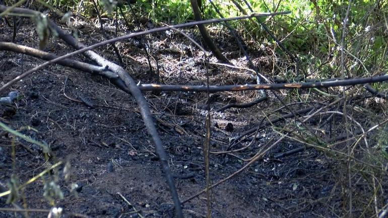 Sultangazi Kent Ormanında çıkan yangın söndürüldü